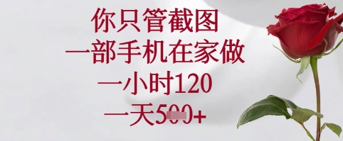你只管截图，一部手机在家可以做，一小时120.一天5张+【揭秘】 - 网赚金库|网赚金库