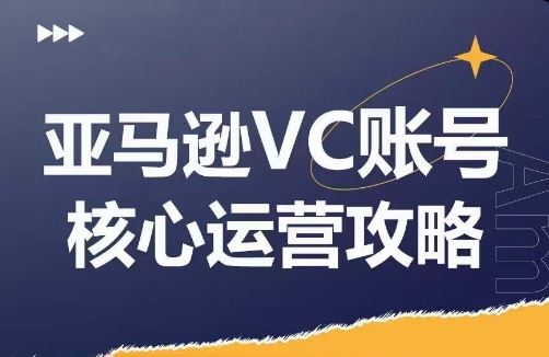亚马逊VC账号核心玩法解析，实战经验拆解产品模块运营技巧，提升店铺GMV，有效提升运营利润 - 网赚金库|网赚金库