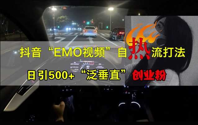 抖音EMO视频自热打法，日引500+“泛垂直”创业粉 - 网赚金库|网赚金库
