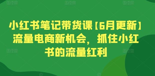小红书笔记带货课【6月更新】流量电商新机会，抓住小红书的流量红利 - 网赚金库|网赚金库