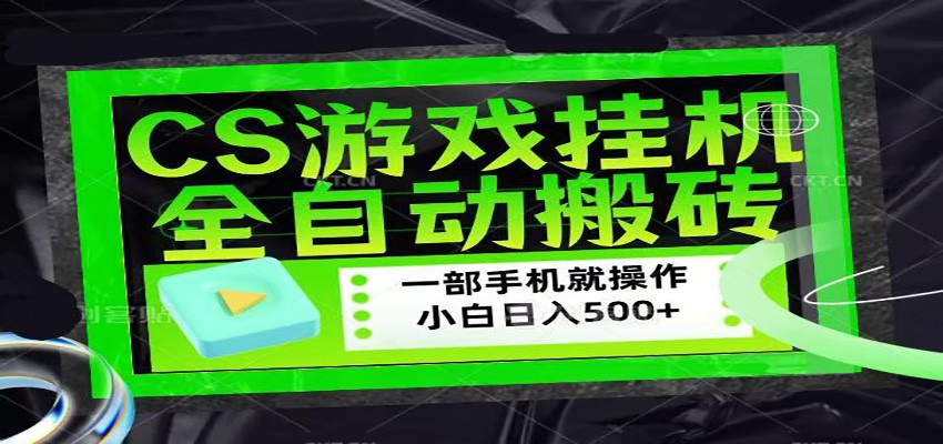 CSGO游戏挂机捡漏搬砖，超稳定的项目，带领1000+小白实现日入500+|网坠金库