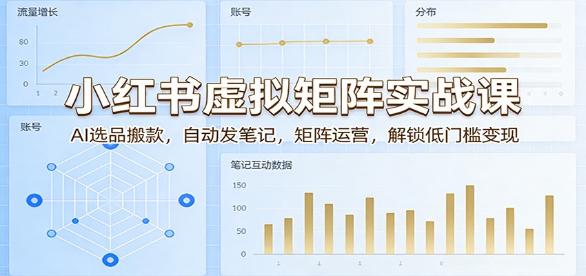 小红书虚拟矩阵实战课：AI选品搬款，自动发笔记，矩阵运营，解锁低门槛变现|网坠金库