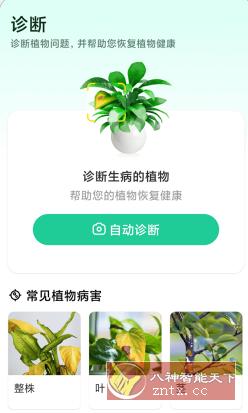 Plant Parent 植物养护v1.9.5高级版 - 网赚金库|网赚金库