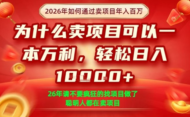 一单净利润1K+，26年想年入100个W，死磕卖项目就够了【揭秘】|网坠金库
