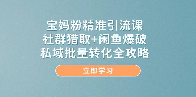 （14820期）宝妈粉精准引流课，社群猎取+闲鱼爆破，私域批量转化全攻略 - 网赚金库|网赚金库