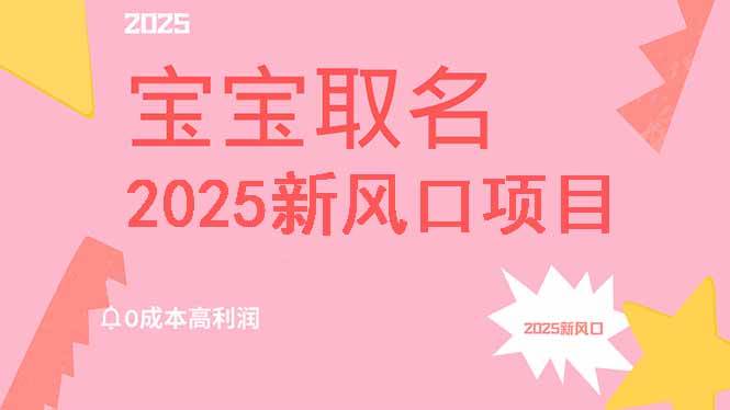（14593期）2025新风口项目宝宝取名，0成本高利润，附保姆级教程，月入过万不是梦 - 网赚金库|网赚金库