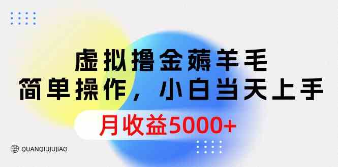 （9864期）虚拟撸金薅羊毛，简单操作，小白当天上手，月收益5000+ - 网赚金库|网赚金库