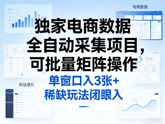 独家电商数据全自动采集项目，可批量矩阵操作，单窗口日入3张+，稀缺玩法闭眼入【揭秘】|网坠金库
