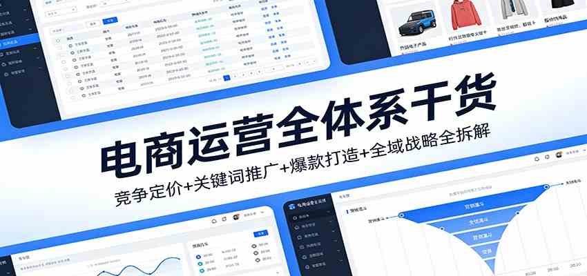 电商运营全体系干货，竞争定价+关键词推广+爆款打造+全域战略全拆解|网坠金库