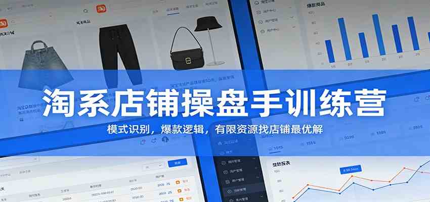 淘系店铺操盘手训练营：模式识别，爆款逻辑，有限资源找店铺最优解|网坠金库