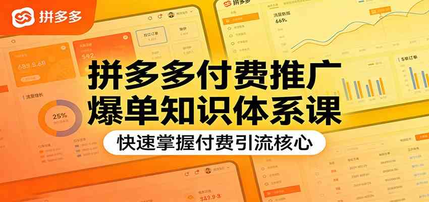 拼多多付费推广爆单知识体系课，快速掌握付费引流核心|网坠金库