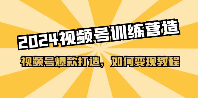 （11135期）2024视频号训练营，视频号爆款打造，如何变现教程（20节课） - 网赚金库|网赚金库