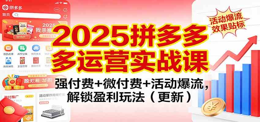 2025拼多多运营实战课：强付费+微付费+活动爆流，解锁盈利玩法（更新）|网坠金库