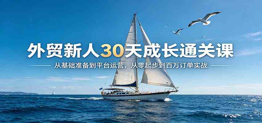 外贸新人30天成长通关课：从基础准备到平台运营，从零起步到百万订单实战|网坠金库