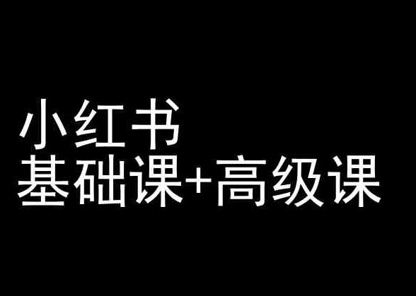 小红书基础课+高级课-小红书运营教程 - 网赚金库|网赚金库
