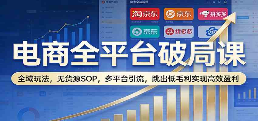 电商全平台破局课：全域玩法，无货源SOP，多平台引流，跳出低毛利实现高效盈利|网坠金库