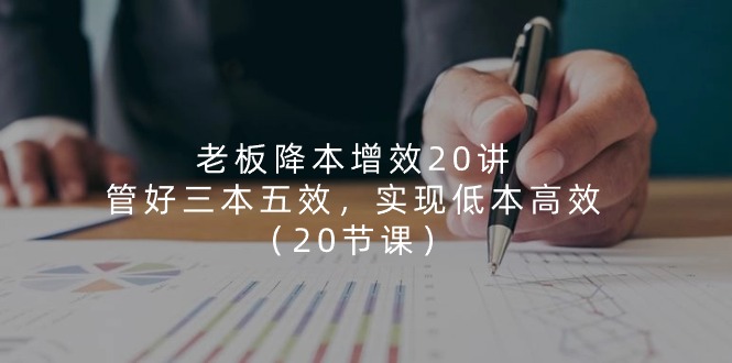 老板降本增效20讲，管好三本五效，实现低本高效（20节课） - 网赚金库|网赚金库