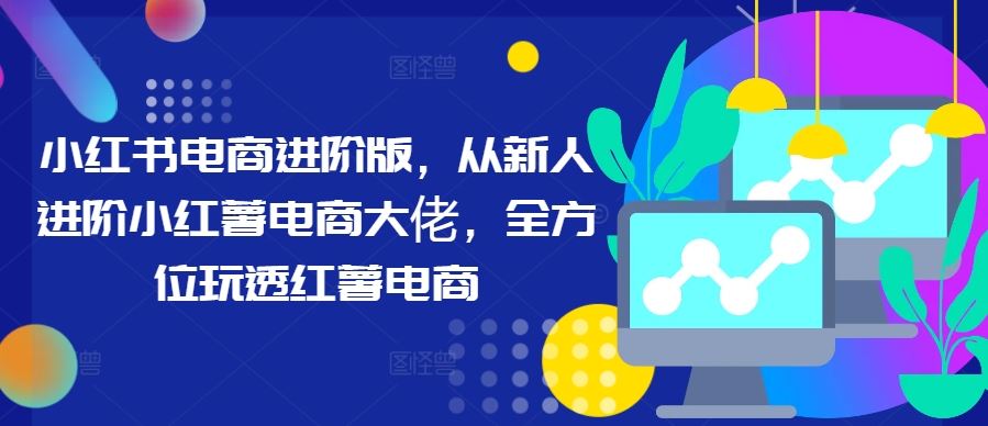 小红书电商进阶版，从新人进阶小红薯电商大佬，全方位玩透红薯电商 - 网赚金库|网赚金库