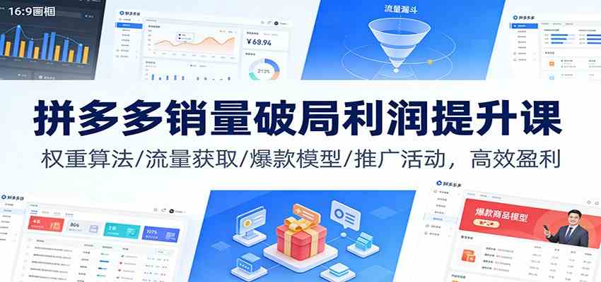 拼多多销量破局利润提升课：权重算法/流量获取/爆款模型/推广活动，高效盈利|网坠金库