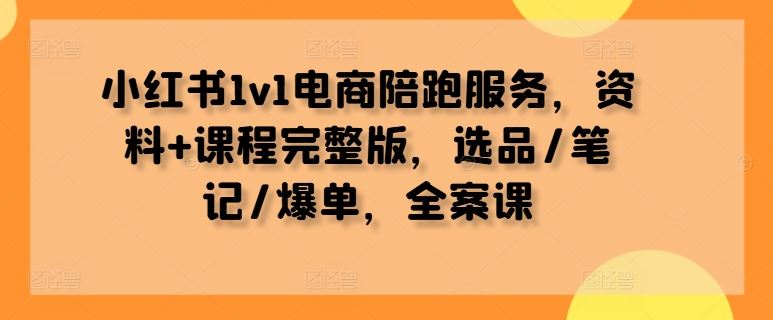 小红书1v1电商陪跑服务，资料+课程完整版，选品/笔记/爆单，全案课 - 网赚金库|网赚金库