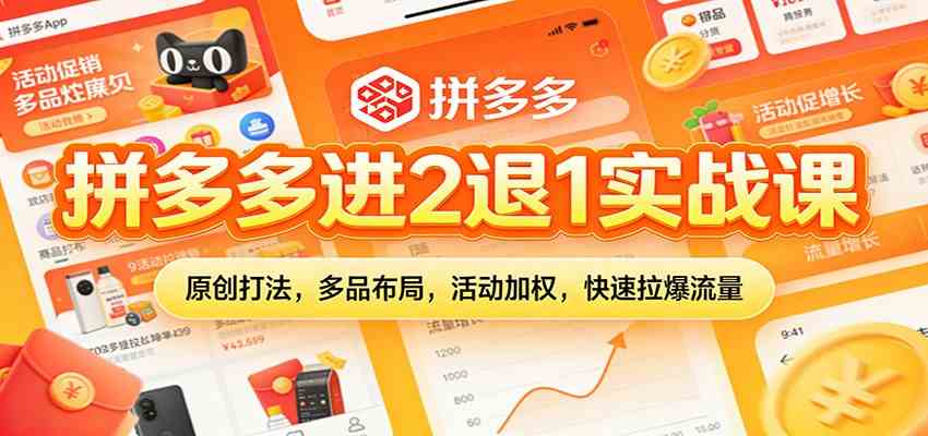 拼多多进2退1实战课：原创打法，多品布局，活动加权，快速拉爆流量|网坠金库
