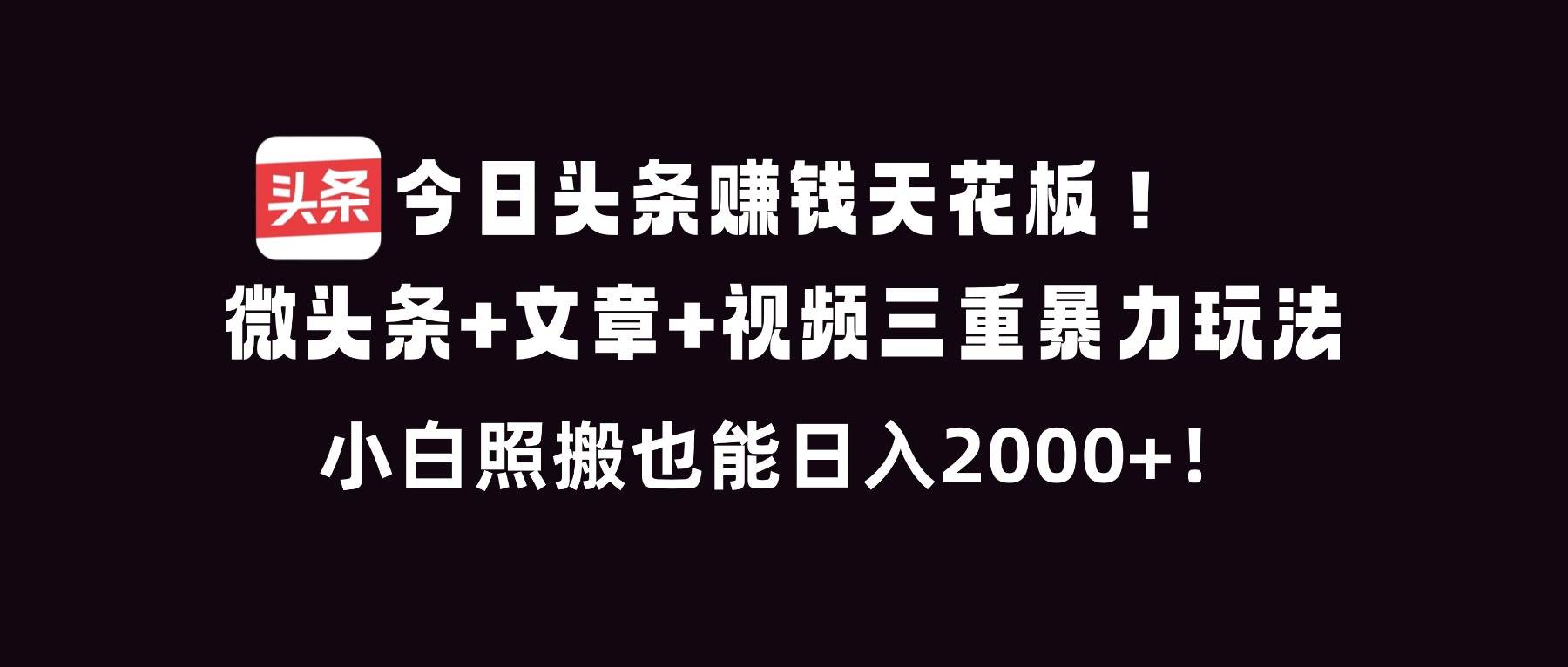 （16888期）今日头条赚钱天花板！微头条+文章+视频三重暴利玩法，小白照搬也能日人2000+|网坠金库