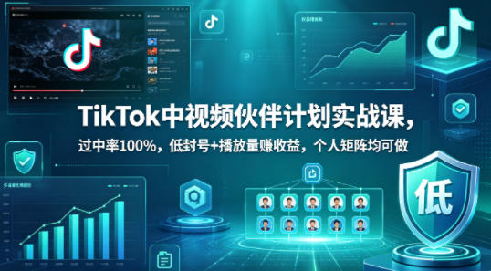 TikTok中视频伙伴计划实战课,过中率100%,低封号+播放量賺收益,个人矩阵均可做|网坠金库
