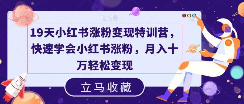 19天小红书涨粉变现特训营，快速学会小红书涨粉，月入十万轻松变现 - 网赚金库|网赚金库