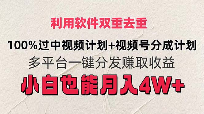 （11862期）利用软件双重去重，100%过中视频+视频号分成计划小白也可以月入4W+ - 网赚金库|网赚金库