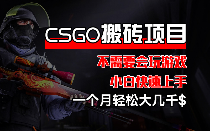 （12332期）CSGO 装备搬砖项目，操作简单，不需要会玩游戏，小白也能快速上手，一… - 网赚金库|网赚金库