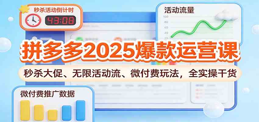 拼多多2025爆款运营课：秒杀大促、无限活动流、微付费玩法，全实操干货|网坠金库