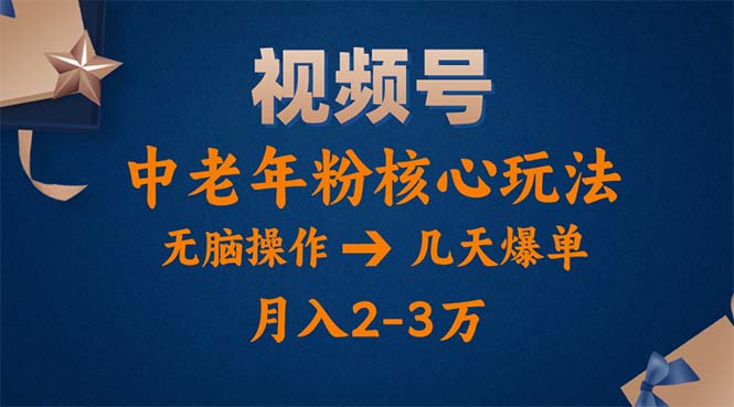 （11288期）视频号火爆玩法，高端中老年粉核心打法，无脑操作，一天十分钟，月入两万 - 网赚金库|网赚金库