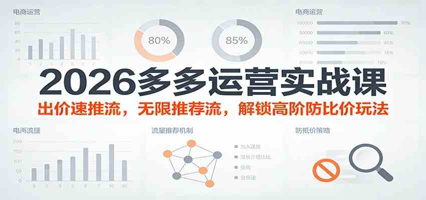 2026多多运营实战课：出价速推流，无限推荐流，解锁高阶防比价玩法（更新）|网坠金库