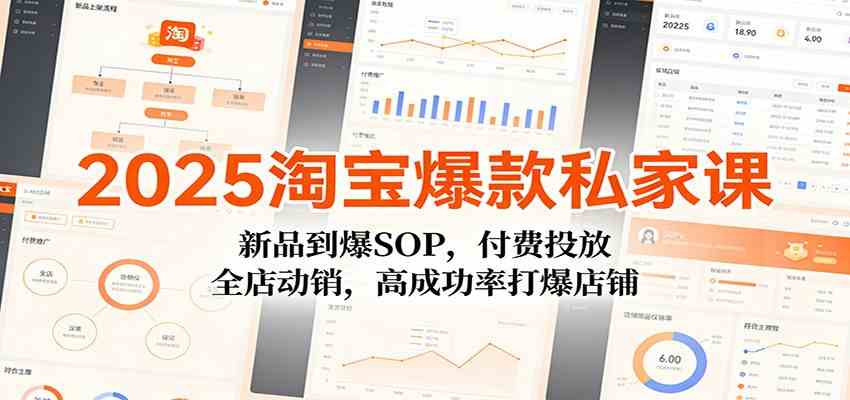 2025淘宝爆款私家课：新品到爆SOP，付费投放，全店动销，高成功率打爆店铺|网坠金库