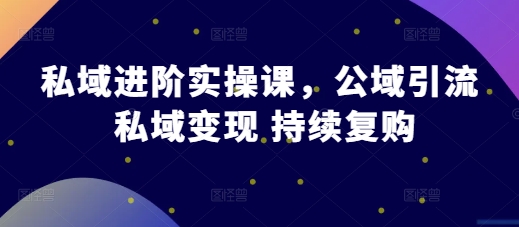 私域进阶实操课，公域引流 私域变现 持续复购 - 网赚金库|网赚金库