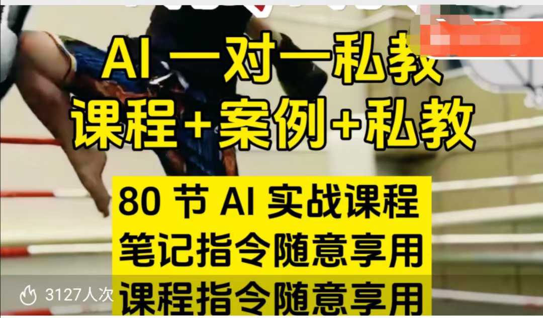 AI指令实战课，课程+案例，80节AI实战课程，笔记指令随意享用，课程指令随意享用（更新26年3月）|网坠金库