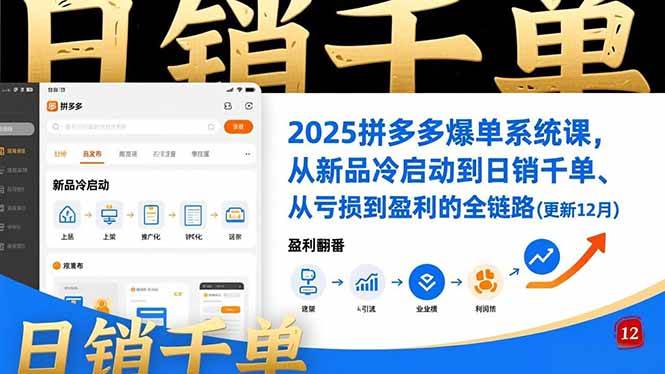 （16894期）2025拼多多爆单系统课，从新品冷启动到日销千单、从亏损到盈利的全链路（更新12月）|网坠金库