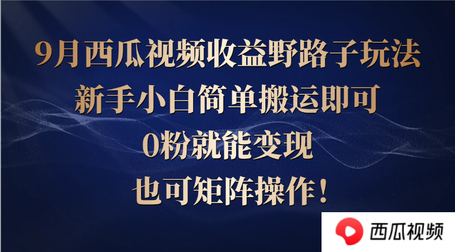 （12760期）西瓜视频收益野路子玩法，新手小白简单搬运即可，0粉就能变现，也可矩… - 网赚金库|网赚金库