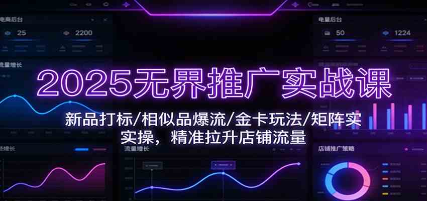 2025无界推广实战课：新品打标/相似品爆流/金卡玩法/矩阵实操，精准拉升店铺流量|网坠金库