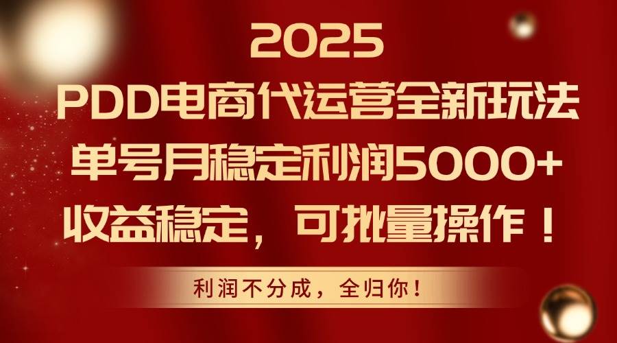 （14839期）2025PDD电商代运营全新玩法，单号月稳定利润5000+，收益稳定，可批量操作 - 网赚金库|网赚金库