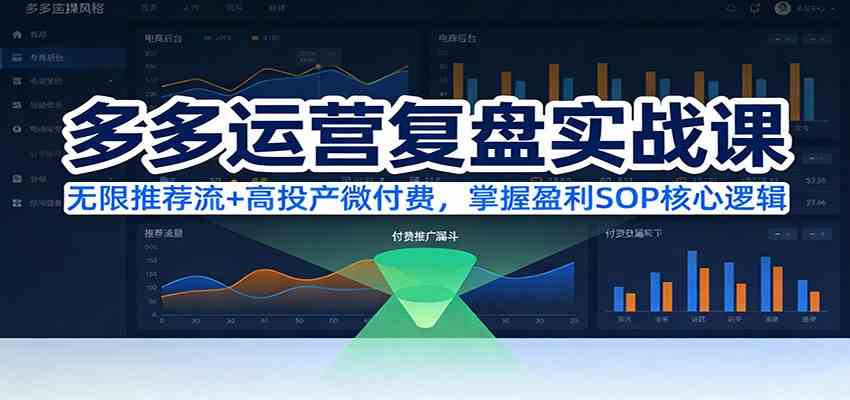 多多运营复盘实战课：无限推荐流+高投产微付费，掌握盈利SOP核心逻辑（更新）|网坠金库