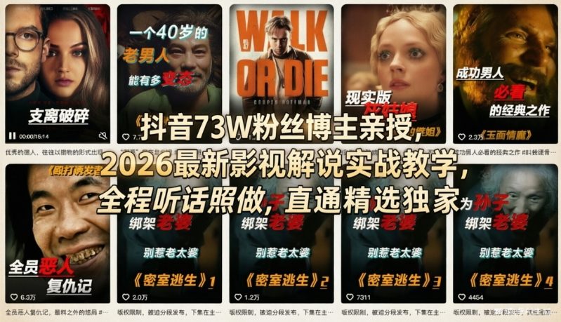 抖音73W粉丝博主亲授，2026最新影视解说实战教学，全程听话照做，直通精选独家|网坠金库