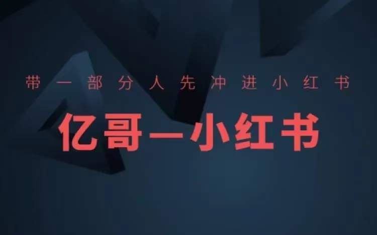 带一部分人先冲进小红书，小红书开店、选品、爆款裂变 - 网赚金库|网赚金库
