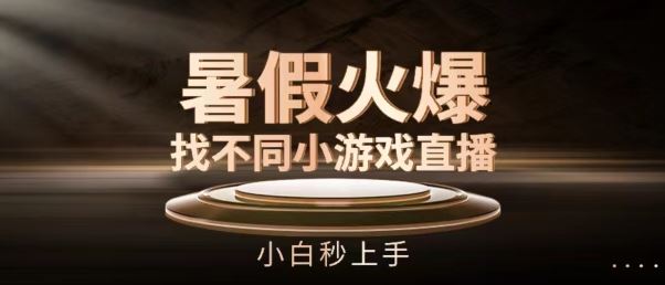 暑假火爆找不同小游戏直播间，小白秒上手【揭秘】 - 网赚金库|网赚金库