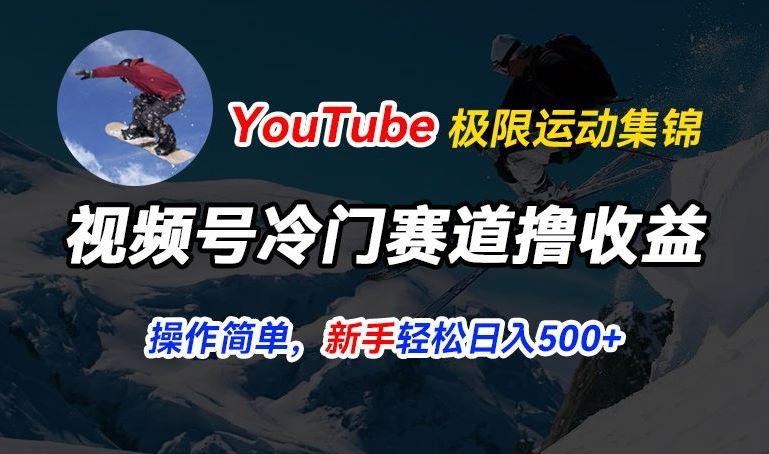 视频号冷门赛道撸收益，YouTube搬运极限运动集锦，暴力起号，操作简单流量高，轻松日入5张【揭秘】 - 网赚金库|网赚金库