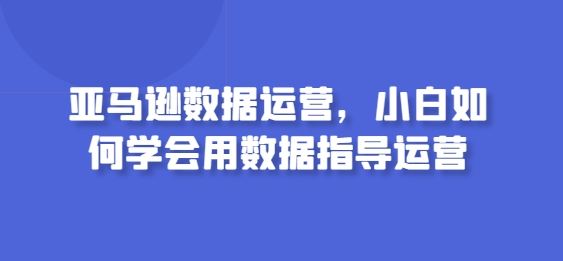 亚马逊数据运营，小白如何学会用数据指导运营 - 网赚金库|网赚金库
