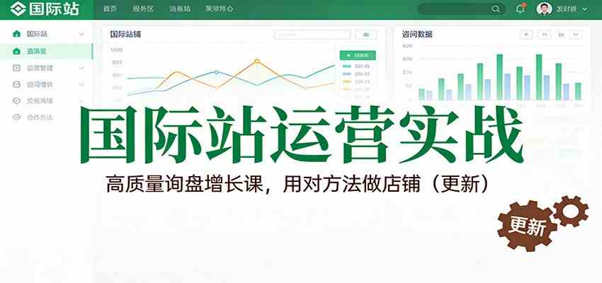 国际站运营实战，高质量询盘增长课，用对方法做店铺（更新）|网坠金库