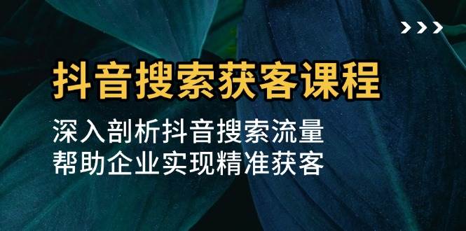 抖音搜索获客课程：深入剖析抖音搜索流量，帮助企业实现精准获客 - 网赚金库|网赚金库