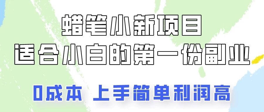 蜡笔小新项目拆解，小白一个月也能多赚3000+ - 网赚金库|网赚金库