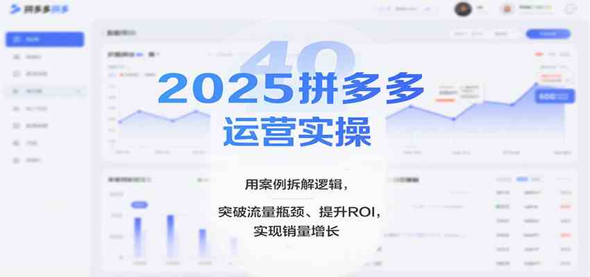2025拼多多运营实操，用案例拆解逻辑，突破流量瓶颈、提升ROI，实现销量增长（更新）|网坠金库